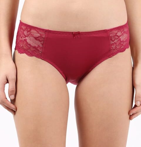 Women's Full Coverage Soft Touch Microfiber Nylon Elastane Stretch Lace Styled Hipster With StayFresh Treatment # 1814..